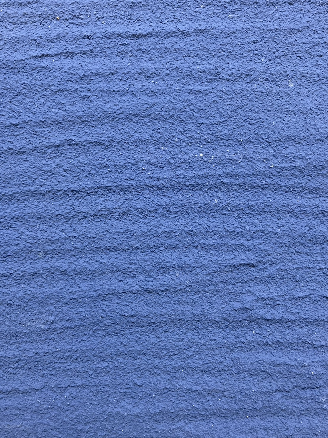 画像の説明