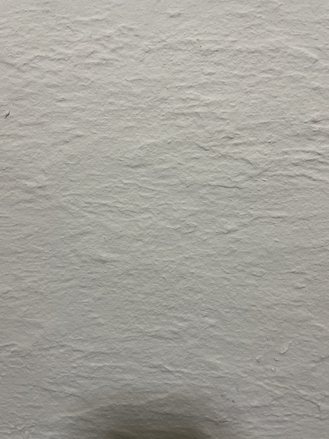 画像の説明
