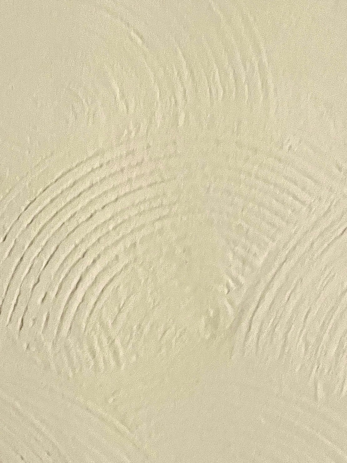 画像の説明